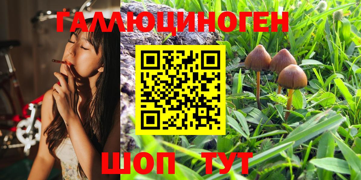 Галлюциногенные грибы ЛСД  Вход с VPN  Галлюциногенные грибы MAGIC MUSHROOMS  купить наркотик  Туймазы 